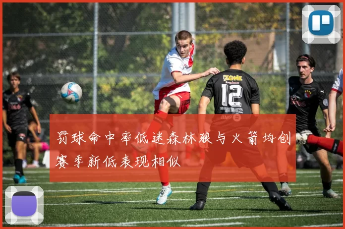 罚球命中率低迷森林狼与火箭均创赛季新低表现相似
